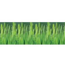Фартук для кухни «Трава», 3000 × 600 × 1,5 мм
