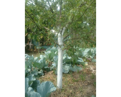 Бинт садовый Даяс для ухода за растениями, 13 × 240 см, SSS 25