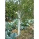 Бинт садовый Даяс для ухода за растениями, 13 × 240 см, SSS 80